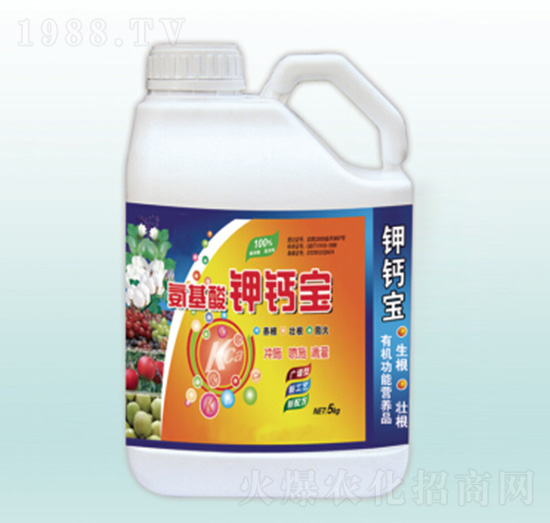 ��������}��-�������