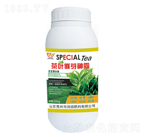 ���~��ѿ��¶-��(r��n)�����