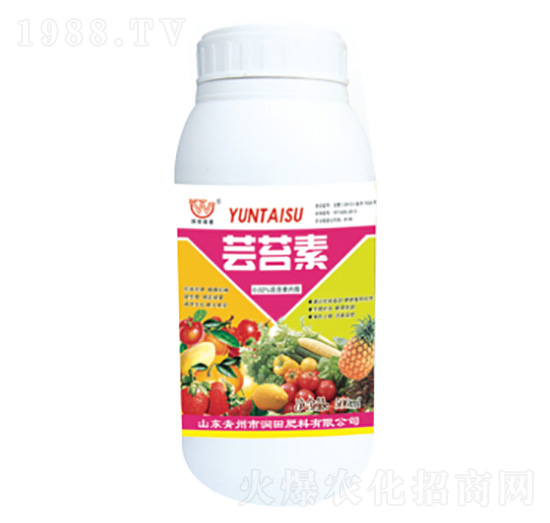 �|̦���~���-��(r��n)�����