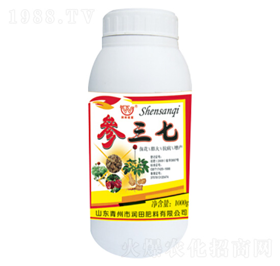 �����ߌ�(zhu��n)�÷�-��(r��n)�����