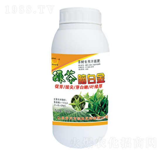 �G���X�׽�-��(r��n)�����