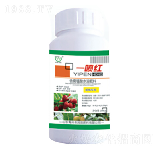 һ���t�~���-�������