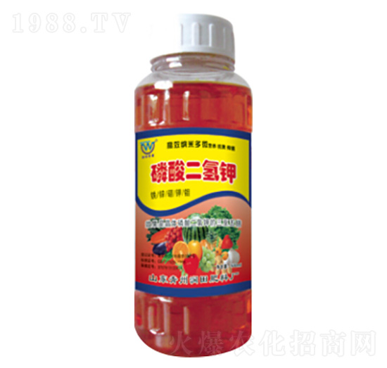 ��������-�������