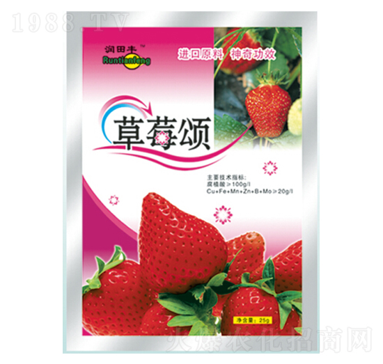 ��ݮ�-�������