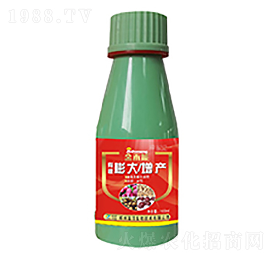 �����ˎ�Č���-�κ��r(n��ng)�I(y��)