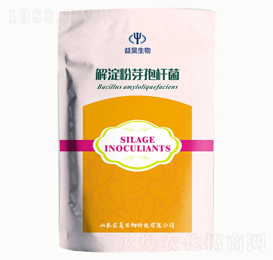 �����ѿ�ߗU��-�������