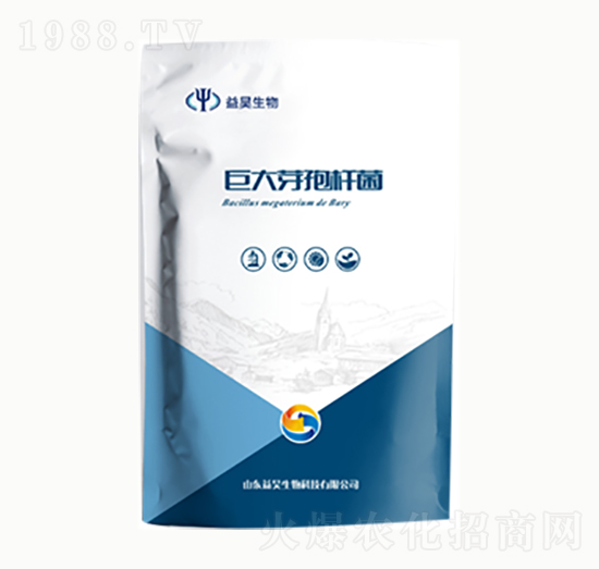 �޴�ѿ�ߗU��-�������