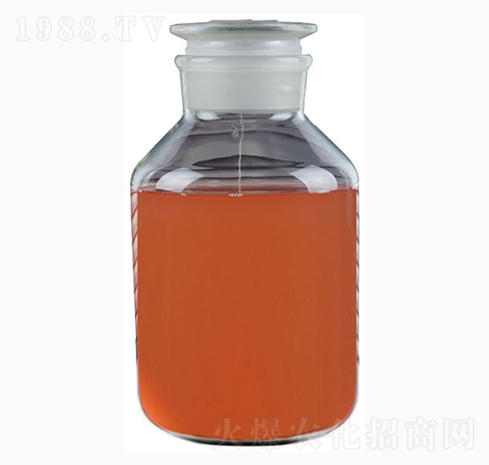 ��Ͼ�-���_˹���}��-�������