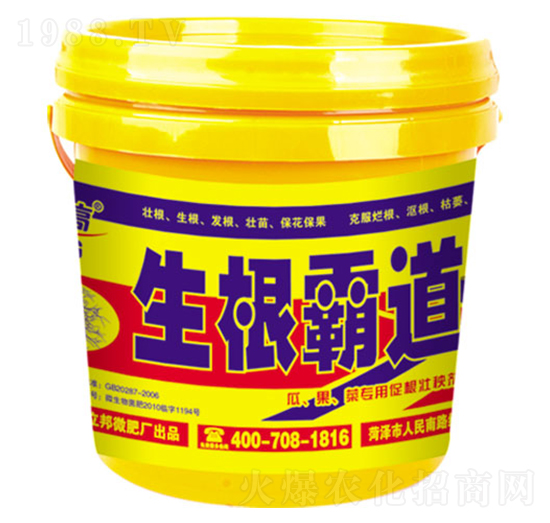 �����Ե�-��������