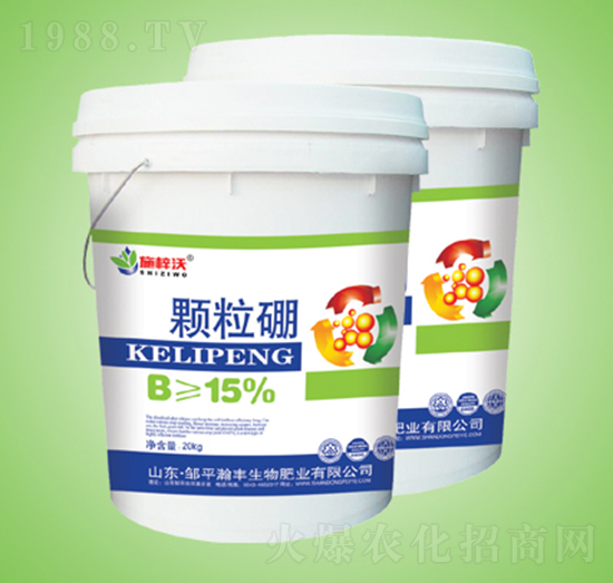 �w����-ʩ����-��S����