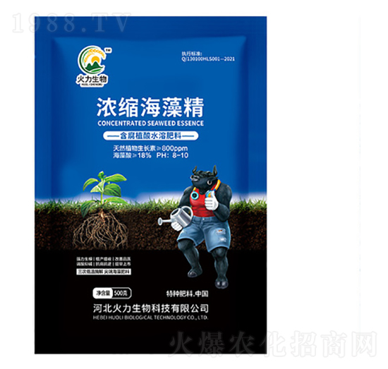 ��s���徫-��������