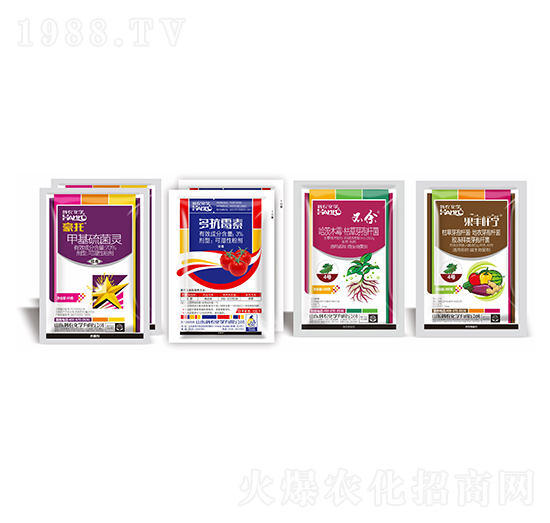 �~ù����(zhu��n)�Ú����ײ�-�n�r(n��ng)���W(xu��)