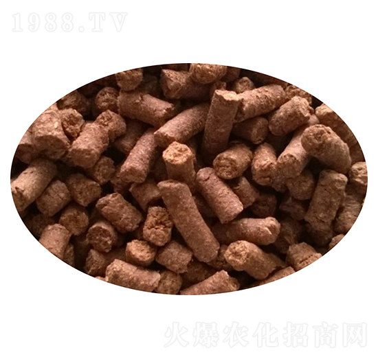 �����w��-Ǭ���r(n��ng)�I(y��)