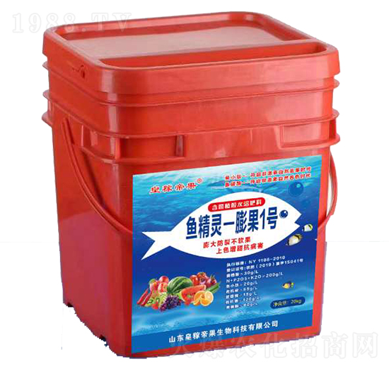 �~���`-���1̖-�ʼڵ۹�