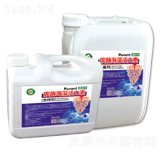 碳酶海藻活力素（生根劑）-普旺特-奧普豐
