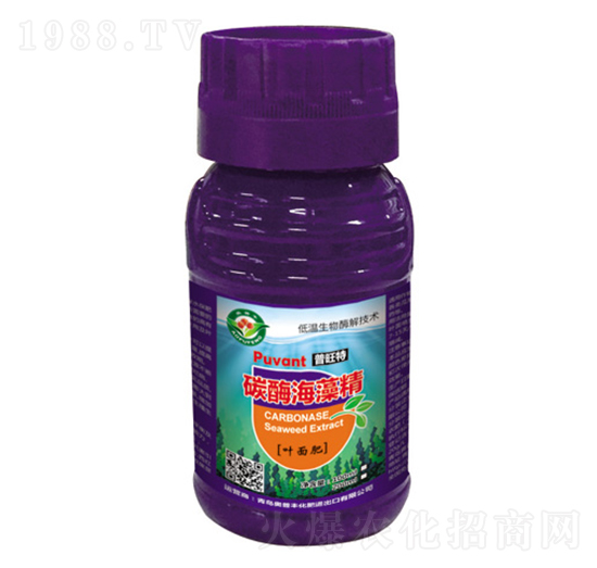 ̼ø���徫-������-�W���S