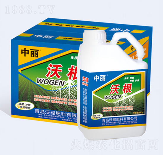 �ָ�-�־G����