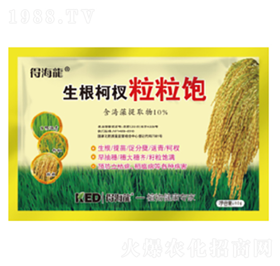 ������������-�ú���-������