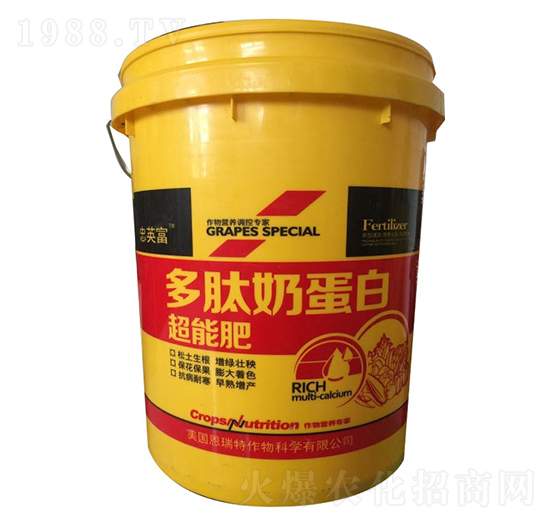 �����̵��׳��ܷ�-�|���S