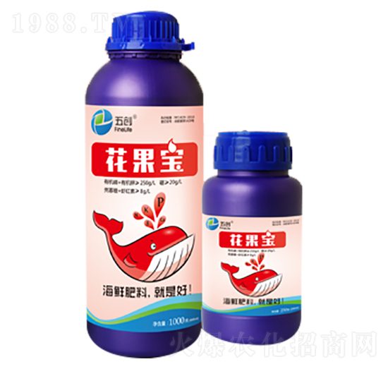 �r�İ������~���-������-�儓(chu��ng)