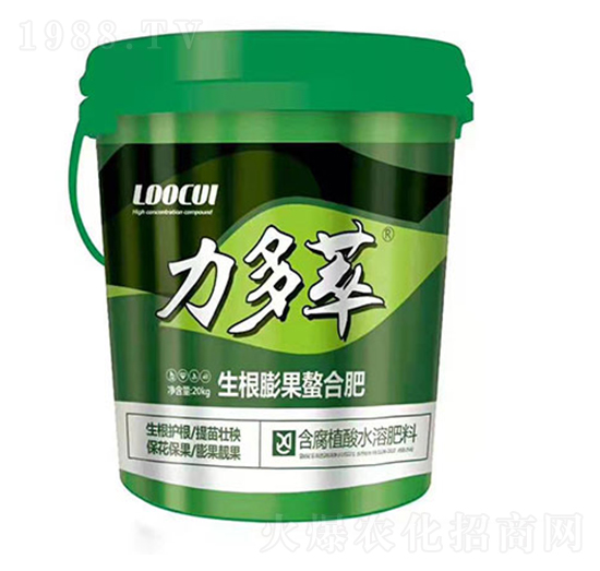 ����������Ϸ�-������-���S��