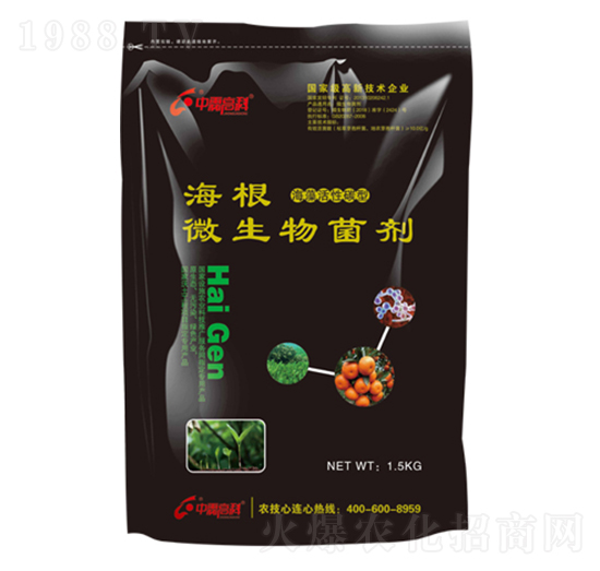 ΢�������-����-���ظ߿�