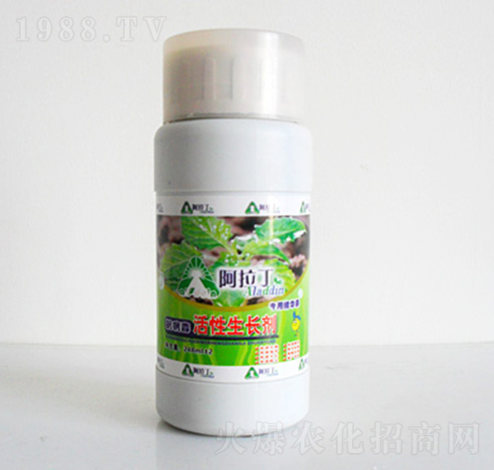 活性生長劑-阿拉丁