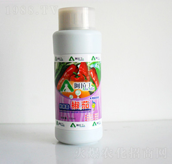 500ml椒茄專用精華素-阿拉丁