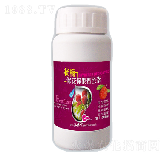 楊梅?；ū９?阿拉丁