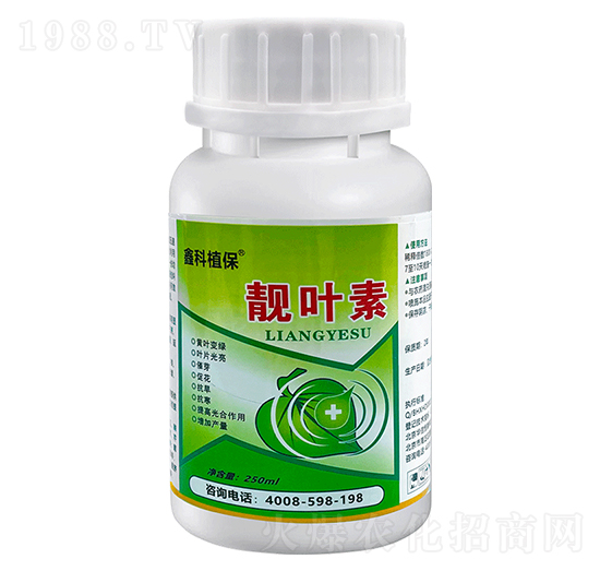 �n�~��-�ο�ֲ��