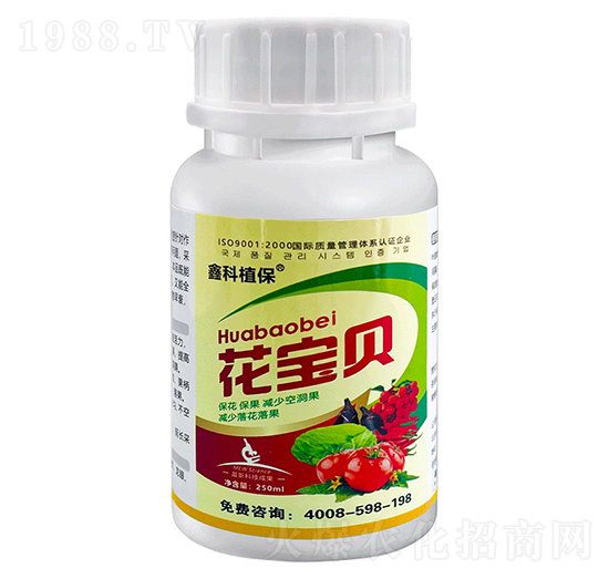 ����ؐ-�ο�ֲ��