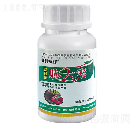 �J���������-�ο�ֲ��