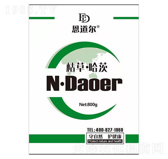 �ݲݡ�����-������