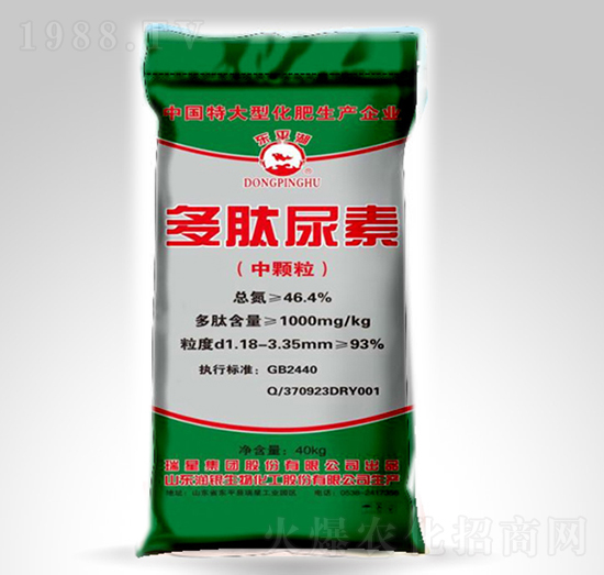 ���w����������-�|ƽ��-����