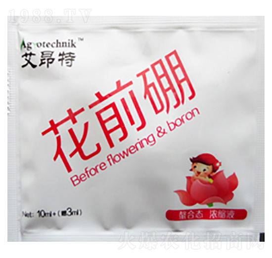 ��ǰ��-������