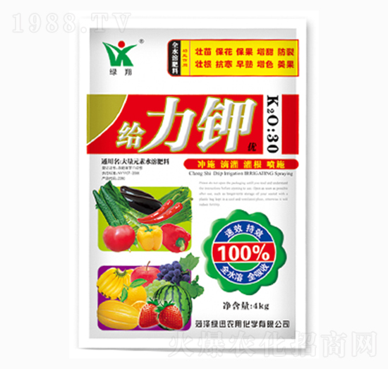 �o���-�GѸ