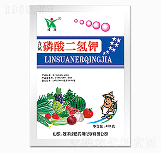 ��������-�GѸ