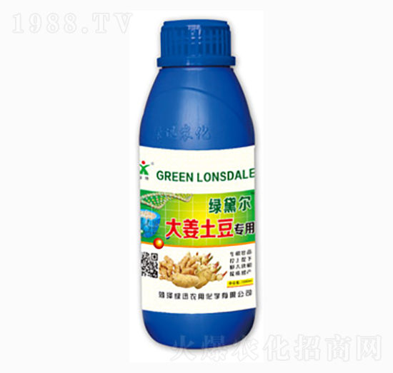 ����������-�GѸ