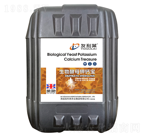 �����ĸ��}��-�����R