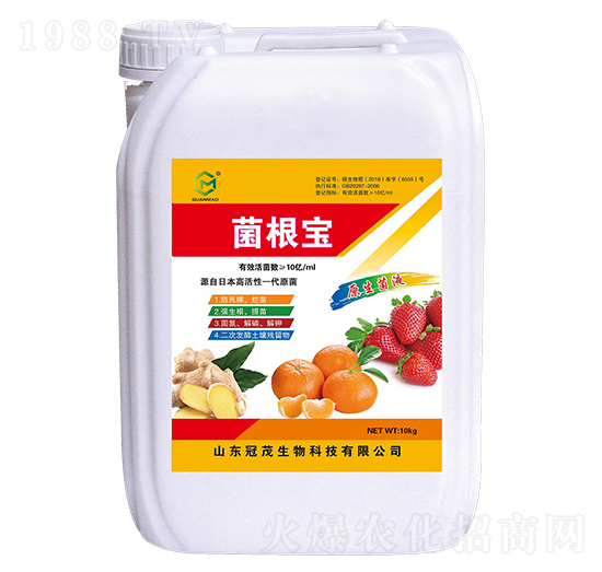 ������-��ï����