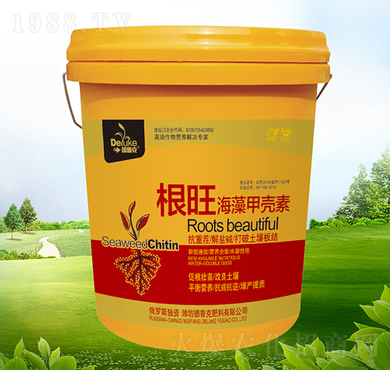 ����ך���-����-������