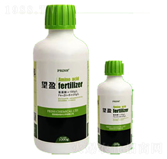 望盈-英國普林斯