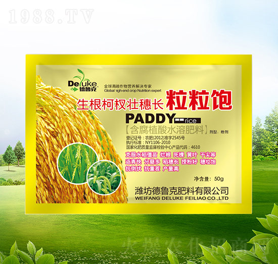 ������(qu��n)�����L(zh��ng)�����-������