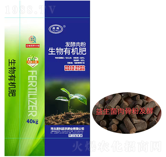 �l(f��)����������ЙC��-�ꕟ-���Ƽ��r