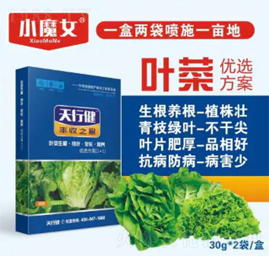 �~�˃�(y��u)�x����-СħŮ-���н�