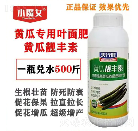 �S�ό����~���-�S���n�S��-СħŮ-���н�