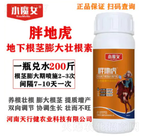 ���¸��o���Ѹ���-�ֵػ�-СħŮ-���н�