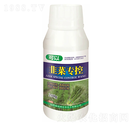 �²ˌ����~���-����-�L�S����