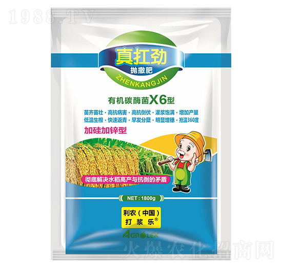 �ЙC(j��)̼ù��X6�ͣ������ʣ�-�濸��-�L(zh��ng)�S����