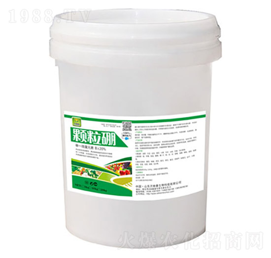 �w����-�f(w��n)�ﴺ